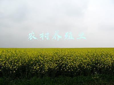 农村养殖业国家的扶持有哪些(老渔说渔第一期：水产养殖相关政策和补贴)