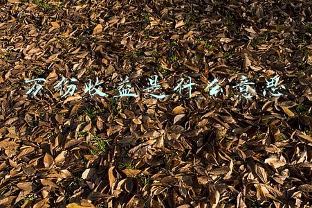 万份收益是什么意思