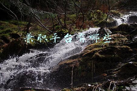 靠谱的兼职平台有哪些(带你了解一些不经常接触的兼职平台)