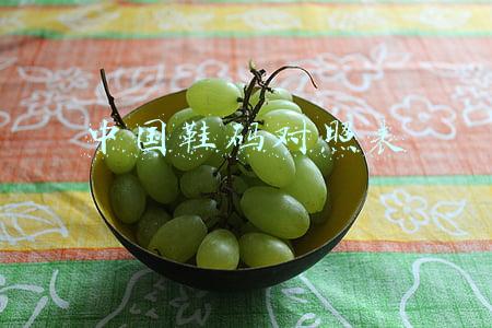 中国鞋码对照表245(40码的鞋子尺寸是多大？是250吗？)