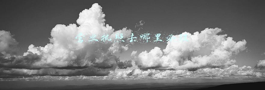 营业执照去哪里办理