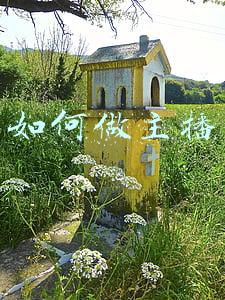如何做主播