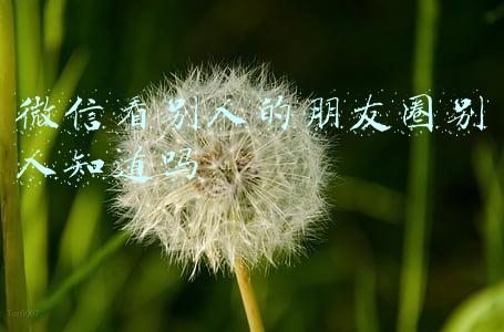 微信看别人的朋友圈别人知道吗