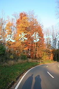 1688货源批发网(小本生意人有福了！凭收钱码可直接从阿里1688进货，还能够百万赊)