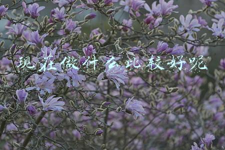 现在做什么比较好呢