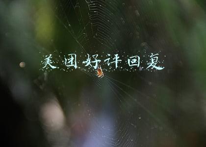 美团好评回复