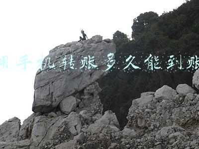 用手机转账多久能到账