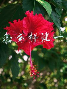 微信怎么样建一个群