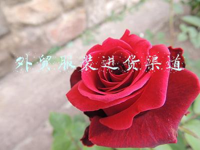 外贸服装进货渠道