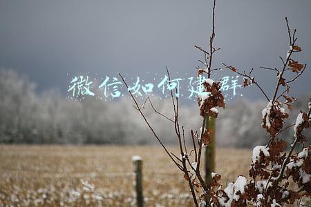 微信如何建群的步骤(三种方式，不同场景教你微信怎么建群？（详细步骤带截图）)