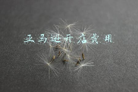 亚马逊开店费用