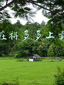 这么在拼多多上卖东西(拼多多场景流量大但你会开吗？分享新手向实操教程)