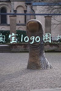 淘宝logo图片
