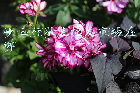十三行服装批发市场在哪