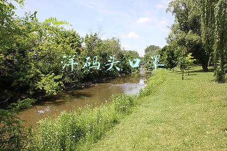 洋码头口罩