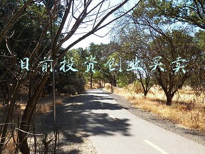 目前投资创业买卖