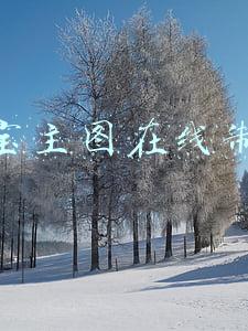 淘宝主图在线制作