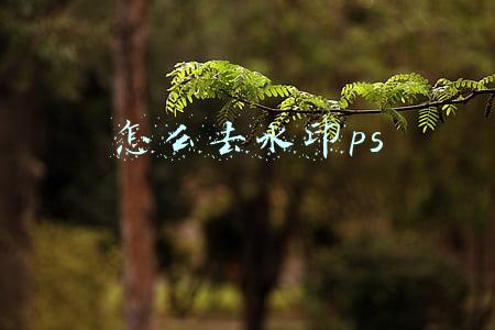怎么去水印ps