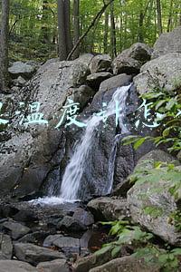 水银温度计怎么看
