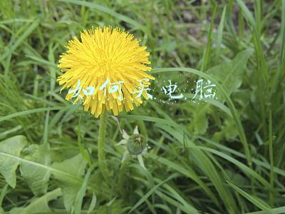 如何买电脑