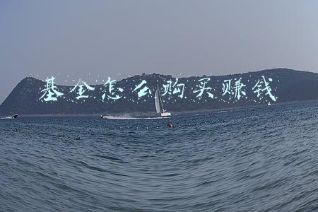 基金怎么购买赚钱