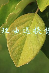 7天无理由退换货规则7天是如何计算的(七日内退货“无理由”也要有前提)