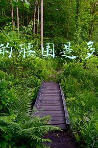 2尺6的腰围是多少厘米