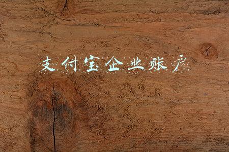支付宝企业账户