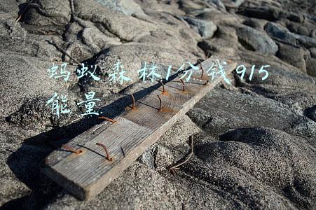 蚂蚁森林消费多少钱可以得到90的能量(天猫双11：单件绿色家电最高可获18400g蚂蚁森林能量)