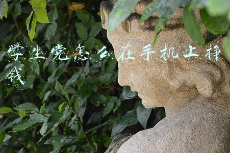 学生党怎么在手机上挣钱软件(假期学生党赚钱)