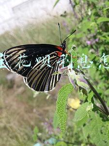 支付宝花呗利息怎么算