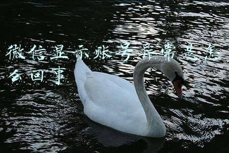加对方微信显示账号异常是怎么回事(微信搜索账号状态异常，无法显示”是怎么回事？)
