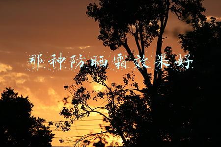 那种防晒霜效果好