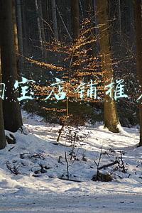 淘宝店铺推广