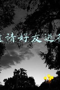 怎么邀请好友进微信群聊(刘端端陪你逛前门，挑战豆汁新喝法丨京探)