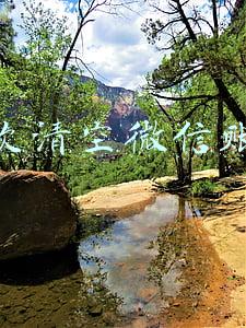 一次清空微信账单