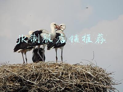 jk制服店铺推荐