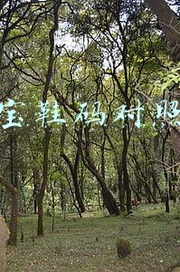 宝宝鞋码对照表