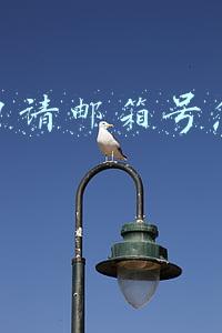 邮箱申请qq号免费注册(免费电子邮箱大全，你认识多少？)