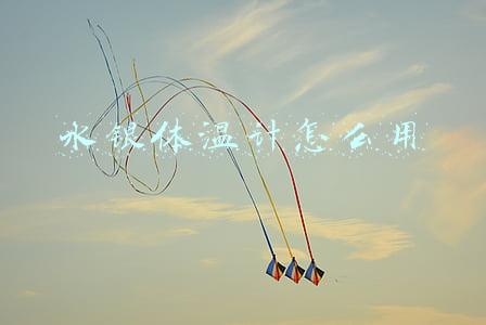 粗的水银体温计怎么用(如何安全使用水银体温计)