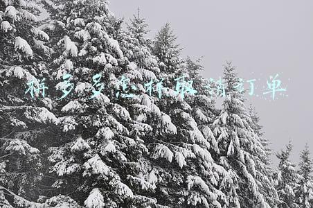 拼多多怎样取消订单