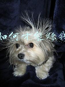 如何才能赚钱