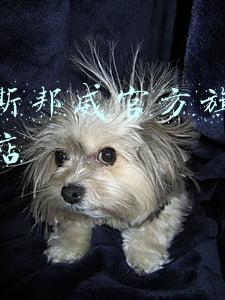 美特斯邦威官方旗舰店专卖店