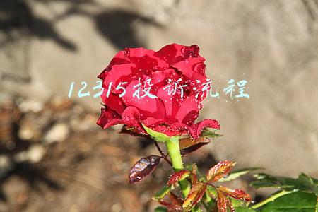 12315投诉流程图(消费者如何进行食品安全投诉？)