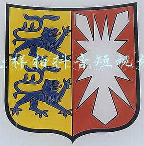 怎样拍抖音短视频