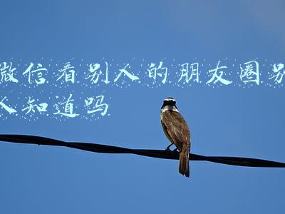 微信看别人的朋友圈别人知道吗
