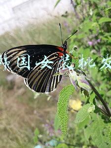 韩国女装批发