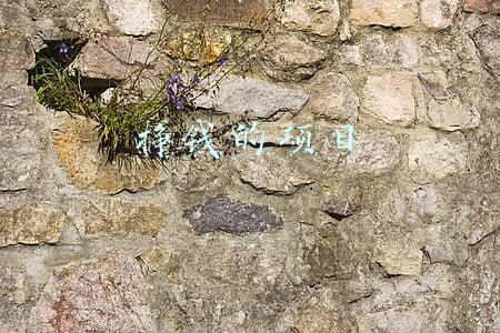 在家就能挣钱的项目(在家躺着玩手机就能挣钱？“好项目”让男子获刑11个月)