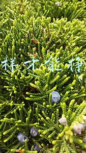怎样才能挣钱快(钱越来越难赚了，怎么办？)