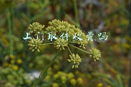 快递上门取件收费吗(中消协点名快递不送货上门，取件加收快递费)